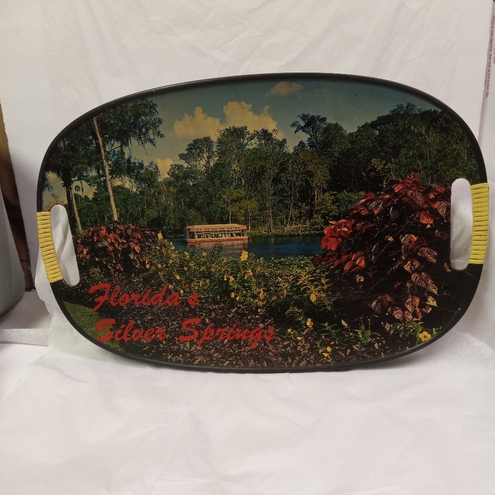 VINTAGE Florida Silver Springs Decoration Tray